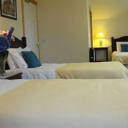 하모니 인 - 글레나 하우스 게스트하우스 킬라니